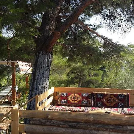 Ida Bay Bed & Breakfast *