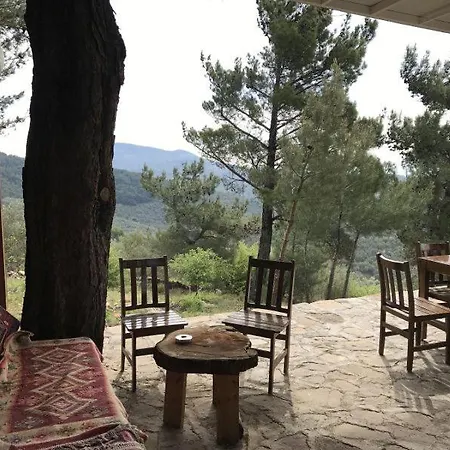 Bed & Breakfast Ida Bay *
