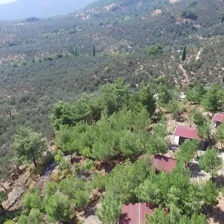Ida Bay Bed & Breakfast