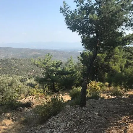 B&B Ida Bay 에드레미트