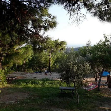 Ida Bay B&B 에드레미트